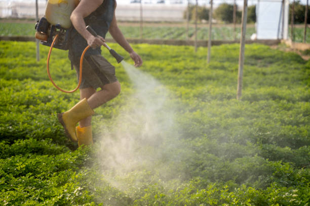 Best Ant Control Services  in Poughkeepsie, NY