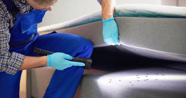 Best Exterminator Services  in Poughkeepsie, NY
