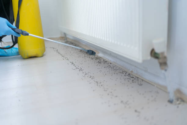 Best Rat Extermination Near Me  in Poughkeepsie, NY
